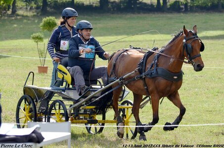 2017-08 CCA Valasse Poneys, 05-DSC_0368