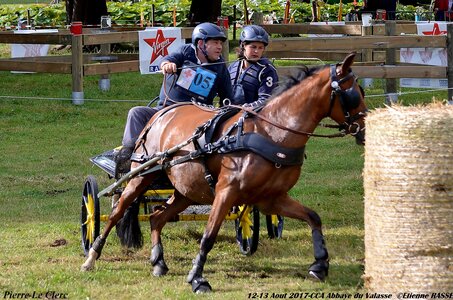 2017-08 CCA Valasse Poneys, 05-DSC_0374