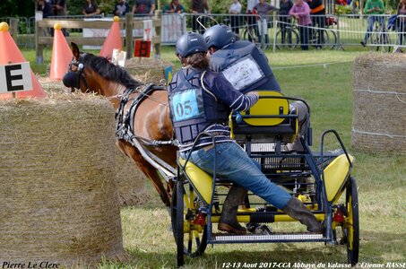2017-08 CCA Valasse Poneys, 05-DSC_0383