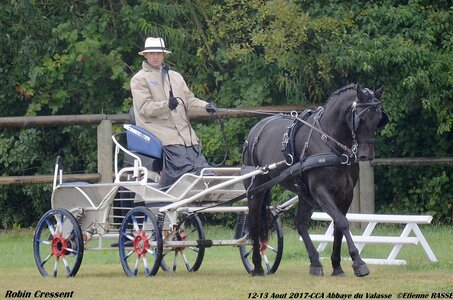 2017-08 CCA Valasse Poneys, 06-0DSC_9353