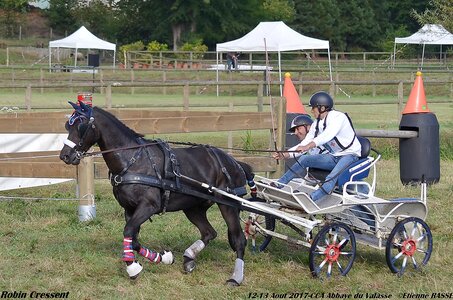 2017-08 CCA Valasse Poneys, 06-DSC_0208