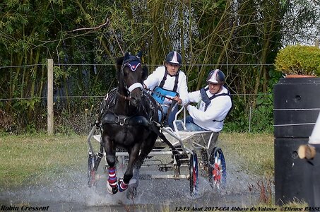 2017-08 CCA Valasse Poneys, 06-DSC_0216