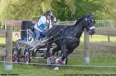 2017-08 CCA Valasse Poneys, 06-DSC_0293