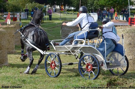 2017-08 CCA Valasse Poneys, 06-DSC_0338