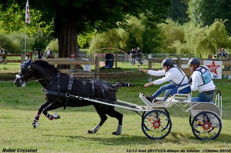 2017-08 CCA Valasse Poneys, 06-DSC_0339