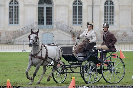 2017-08 CCA Valasse Poneys, 07-DSC_0078