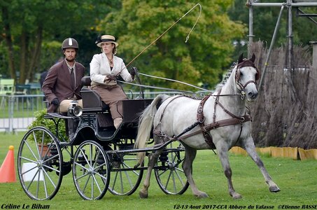 2017-08 CCA Valasse Poneys, 07-DSC_0098