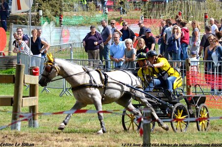 2017-08 CCA Valasse Poneys, 07--DSC_2088