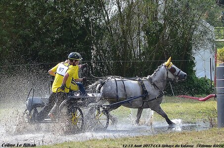 2017-08 CCA Valasse Poneys, 07-DSC_2180