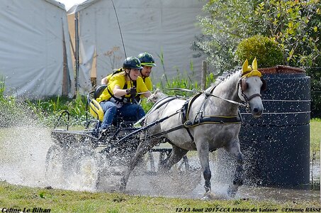 2017-08 CCA Valasse Poneys, 07-DSC_2191