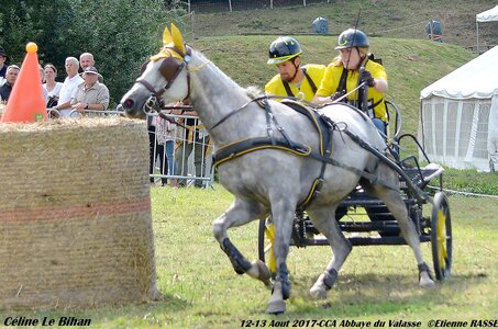 2017-08 CCA Valasse Poneys, 07-DSC_2319