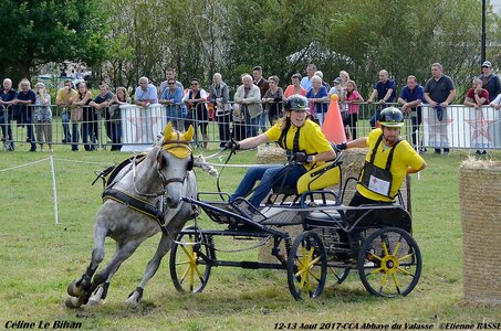 2017-08 CCA Valasse Poneys, 07-DSC_2327