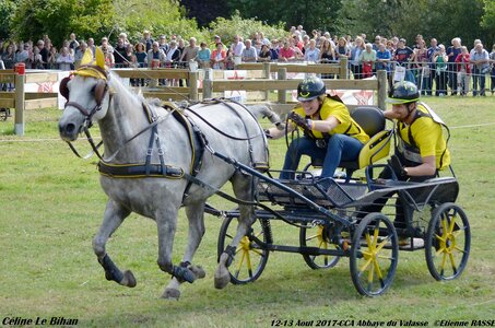 2017-08 CCA Valasse Poneys, 07-DSC_2344