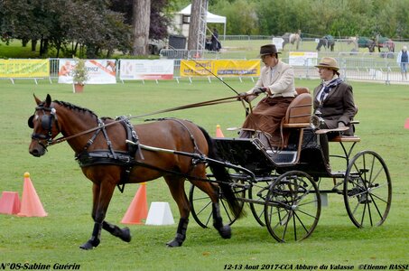 2017-08 CCA Valasse Poneys, 08-DSC_0106