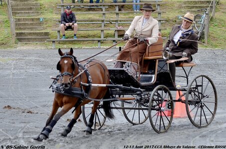 2017-08 CCA Valasse Poneys, 08-DSC_0112