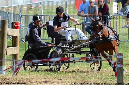 2017-08 CCA Valasse Poneys, 08-DSC_2125