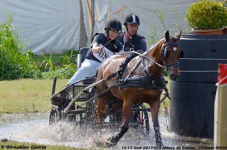 2017-08 CCA Valasse Poneys, 08-DSC_2239