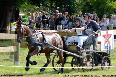 2017-08 CCA Valasse Poneys, 08-DSC_2347