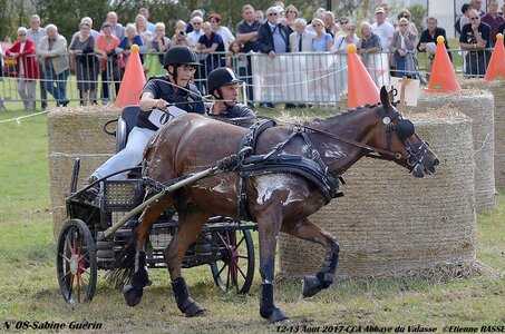 2017-08 CCA Valasse Poneys, 08-DSC_2370