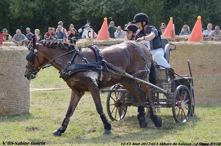 2017-08 CCA Valasse Poneys, 08-DSC_2376