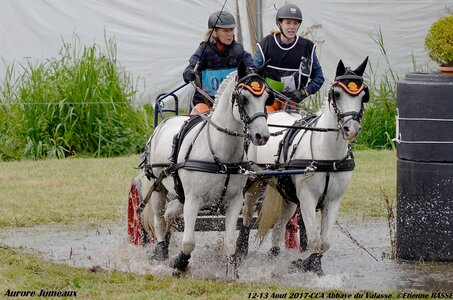2017-08 CCA Valasse Poneys, 09-DSC_1583
