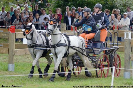 2017-08 CCA Valasse Poneys, 09-DSC_1689