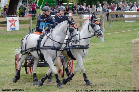 2017-08 CCA Valasse Poneys, 09-DSC_1743