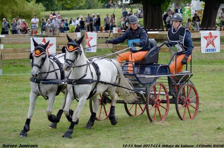 2017-08 CCA Valasse Poneys, 09-DSC_1744