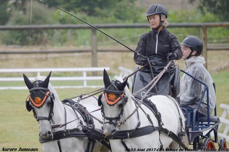 2017-08 CCA Valasse Poneys, 09-DSC_09392