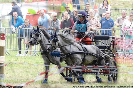 2017-08 CCA Valasse Poneys, 10-DSC_1559