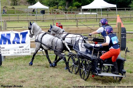 2017-08 CCA Valasse Poneys, 10-DSC_1630
