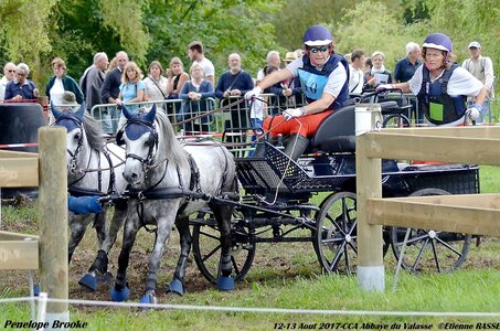 2017-08 CCA Valasse Poneys, 10-DSC_1759