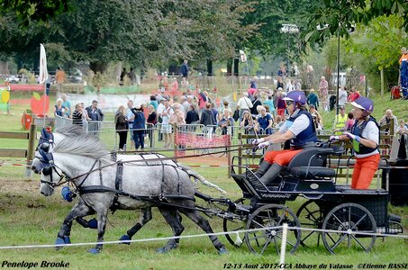 2017-08 CCA Valasse Poneys, 10-DSC_1763
