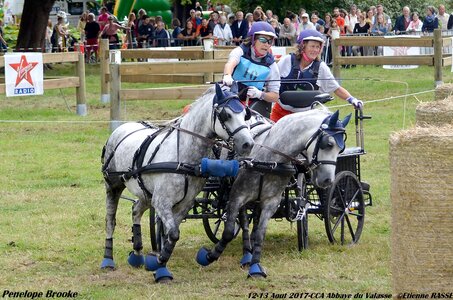 2017-08 CCA Valasse Poneys, 10-DSC_1784