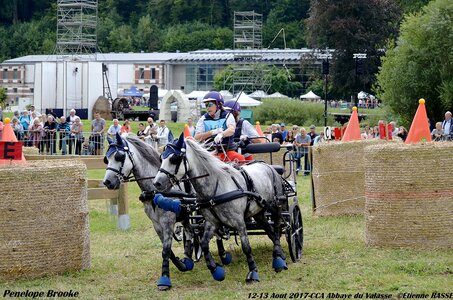 2017-08 CCA Valasse Poneys, 10-DSC_1788