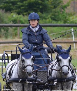 2017-08 CCA Valasse Poneys, 10-DSC_09416