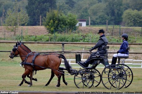 2017-08 CCA Valasse Poneys, 11-0DSC_9419