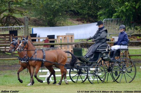 2017-08 CCA Valasse Poneys, 11-0DSC_9424