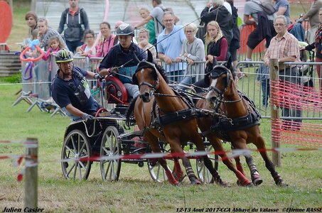2017-08 CCA Valasse Poneys, 11-DSC_1607