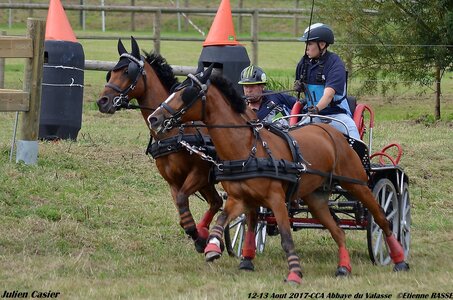 2017-08 CCA Valasse Poneys, 11-DSC_1662