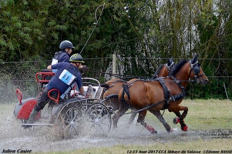 2017-08 CCA Valasse Poneys, 11-DSC_1667