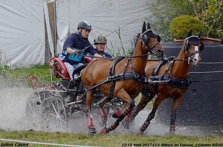 2017-08 CCA Valasse Poneys, 11-DSC_1677