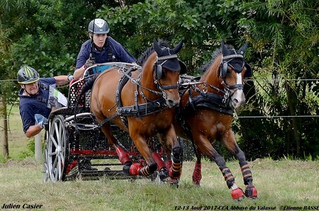 2017-08 CCA Valasse Poneys, 11-DSC_1682
