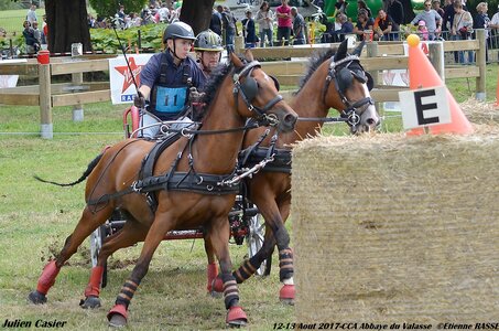 2017-08 CCA Valasse Poneys, 11-DSC_1801