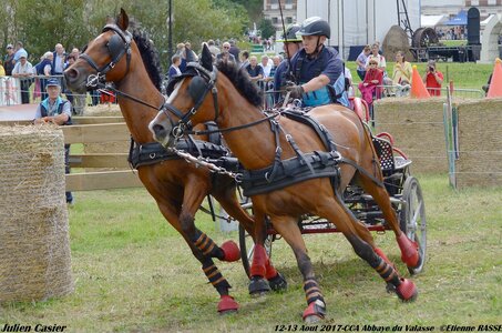 2017-08 CCA Valasse Poneys, 11-DSC_1809