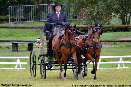 2017-08 CCA Valasse Poneys, 13-0DSC_9456