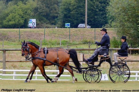 2017-08 CCA Valasse Poneys, 13-0DSC_9458