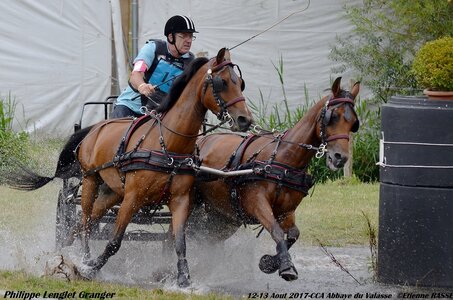 2017-08 CCA Valasse Poneys, 13-DSC_1538