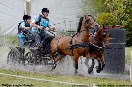 2017-08 CCA Valasse Poneys, 13-DSC_1540