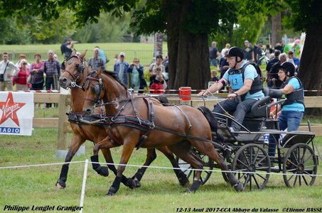 2017-08 CCA Valasse Poneys, 13-DSC_1634